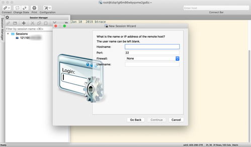 軟件開發(fā) 從概念到實現的藝術與科學